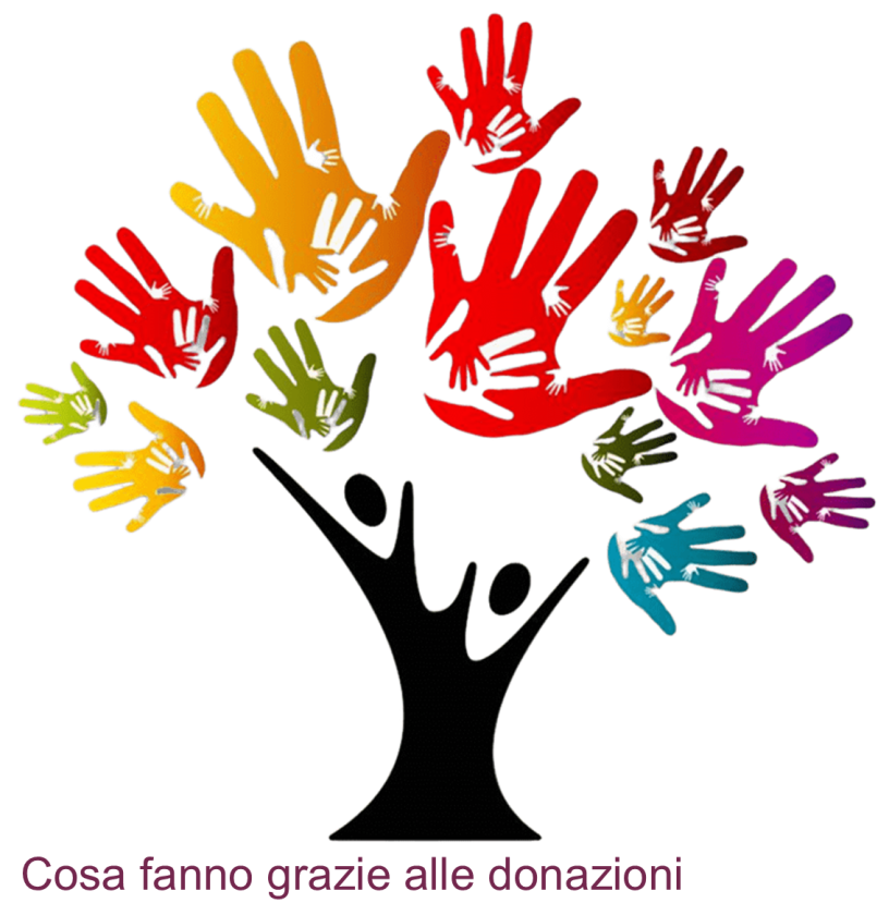 ALBERO DONAZIONI MEDICI SENZA FRONTIERE