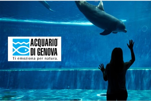 acquario genova ennevolte